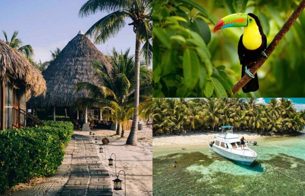 The Smartest Trips to Book Right Now Blog