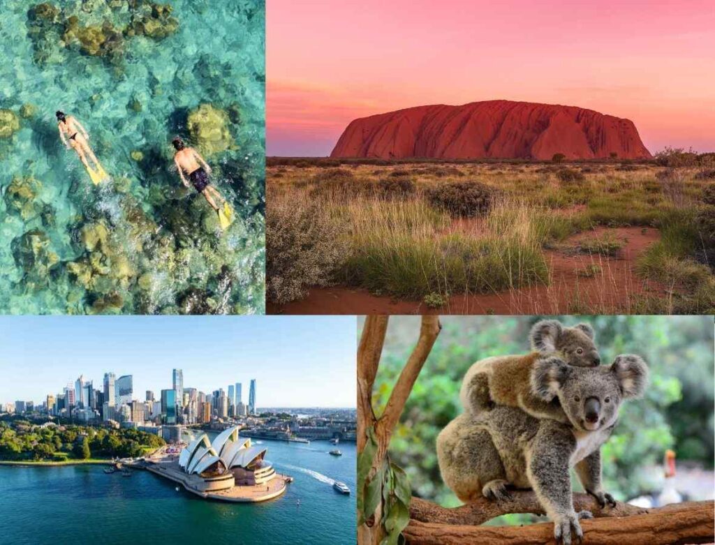 Top: InterContinental Hayman Great Barrier Reef | Uluru Bottom: Sydney | Koalas