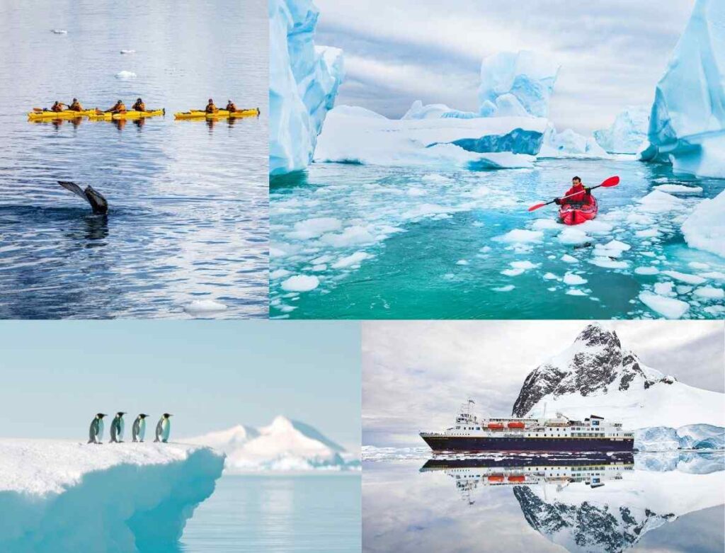 Top: Antarctica - Bottom: Emperor Penguins | National Geographic-Lindblad Expeditions
