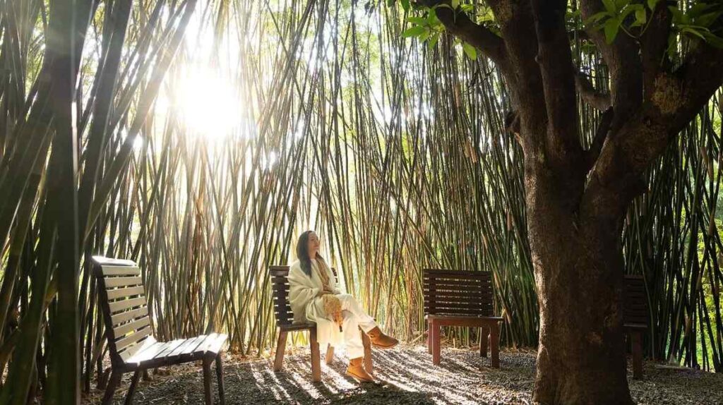 Six Senses Vana, India